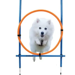 Hundetræning Og Klikker^Ollipet DogFit Agility | Hurdle Jump Ring