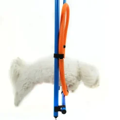 Hundetræning Og Klikker^Ollipet DogFit Agility | Hurdle Jump Ring