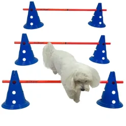 Hundetræning Og Klikker^Ollipet DogFit Agility | Hurdle Cone set