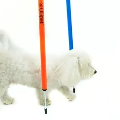 Hundetræning Og Klikker^Ollipet DogFit Agility | Slalompinde | 12 stk.