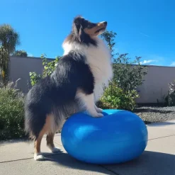 Hundetræning Og Klikker^Ollipet DogFit Air - Balance Donut