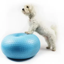 Hundetræning Og Klikker^Ollipet DogFit Air - Balance Donut