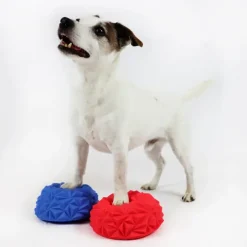 Hundetræning Og Klikker^Ollipet DogFit Air Serie - Balancepude