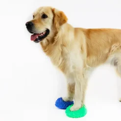 Hundetræning Og Klikker^Ollipet DogFit Air Serie - Balancepude