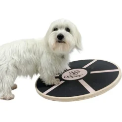 Hundetræning Og Klikker^Ollipet DogFit Wood | Rundt Balancebræt