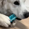 Aktivitetslegetøj Til Hunde|Tandrensende Legetøj^Ollipet dog toothbrush activity stick