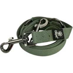 Hundesnor^Ollipet | Dressurline