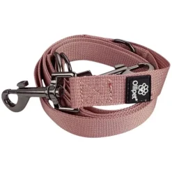 Hundesnor^Ollipet | Dressurline