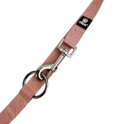 Hundesnor^Ollipet | Dressurline