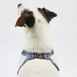 Hundeseler^Ollipet Duomm Air mesh Step-In sele | OUTLET