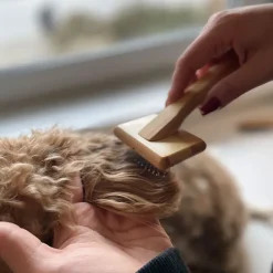 Pelspleje Til Hvalpe^Ollipet Exclusive Bambus Karte