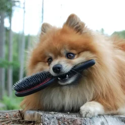 Pelsplejeredskaber^Ollipet Exclusive Bristle & Nylon Brush