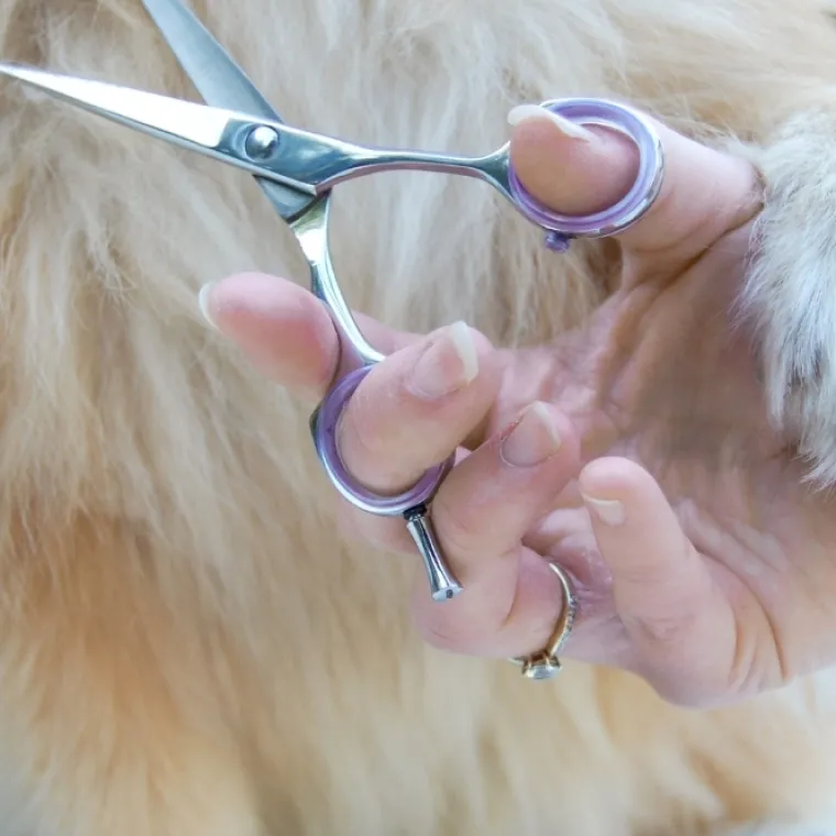 Pelsplejeredskaber^Ollipet Exclusive groomingsaks 5,5"