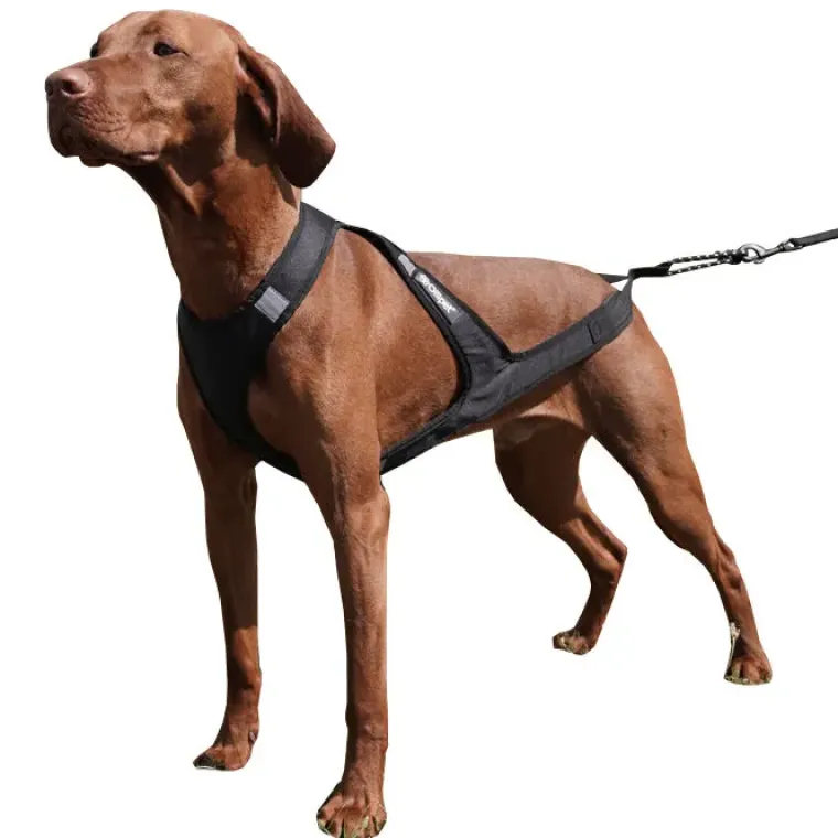 Hundeseler|Løbeturen^Ollipet Fast Runner Træksele