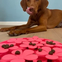 Snusemåtter/Slikkeplader^Ollipet Flip Flower Slikkemåtte