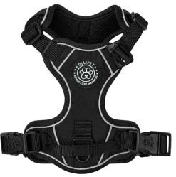 Hundeseler|Ollipet For Wagging Tails^Ollipet For Wagging Tails | Adventure Hundesele 2.0