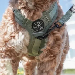 Hundeseler|Køleartikler^Ollipet For Wagging Tails | Airflex hundesele