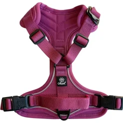 Hundeseler|Køleartikler^Ollipet For Wagging Tails | Airflex hundesele