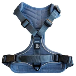 Hundeseler|Køleartikler^Ollipet For Wagging Tails | Airflex hundesele