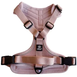 Hundeseler|Køleartikler^Ollipet For Wagging Tails | Airflex hundesele