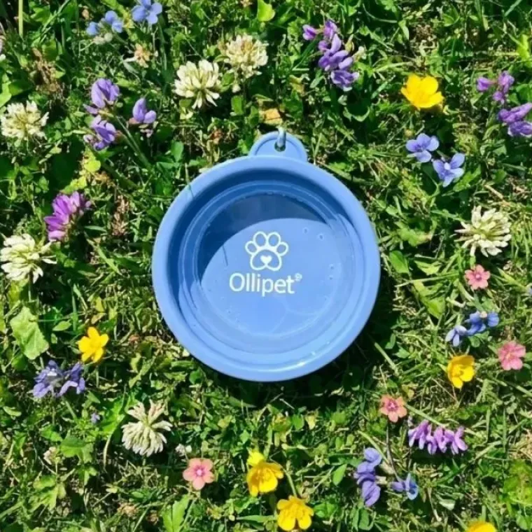 ☀️Sommerklar|Ollipet For Wagging Tails^Ollipet For Wagging Tails | foldbar hundeskål