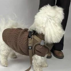 Hvalpetøj|Hundeferien^Ollipet for Wagging Tails | Hundesweater