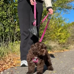 Ollipet For Wagging Tails|Hundesnor^Ollipet For Wagging Tails | Hundesnor