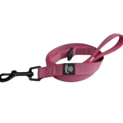 Ollipet For Wagging Tails|Hundesnor^Ollipet For Wagging Tails | Hundesnor