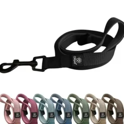 Ollipet For Wagging Tails|Hundesnor^Ollipet For Wagging Tails | Hundesnor