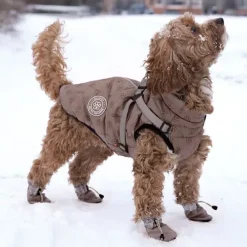 ❄️Klar Til Vintervejret|Efterårsklar^Ollipet For Wagging Tails | Refleks hundestøvler Khaki
