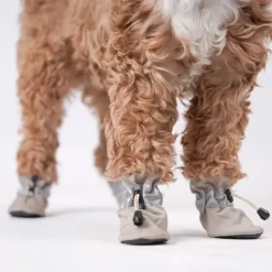 ❄️Klar Til Vintervejret|Efterårsklar^Ollipet For Wagging Tails | Refleks hundestøvler Khaki