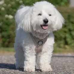 Hundeseler|Bestsellers^Ollipet For Wagging Tails | Step in Sele