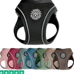 Hundeseler|Bestsellers^Ollipet For Wagging Tails | Step in Sele