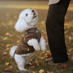 Hundeseler|Bestsellers^Ollipet For Wagging Tails | Step in Sele