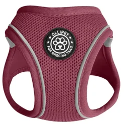 Hundeseler|Bestsellers^Ollipet For Wagging Tails | Step in Sele