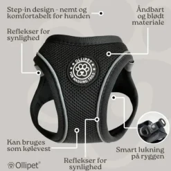 Hundeseler|Bestsellers^Ollipet For Wagging Tails | Step in Sele
