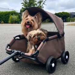 Hundeklapvogn|Udstillingsvogne Og Tilbehør^Ollipet For Wagging Tails Trækvogn | Lille