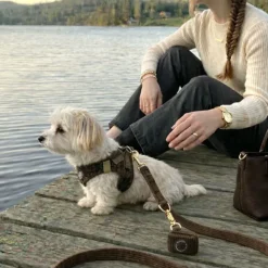 Ollipet For Wagging Tails|Hundesnor^Ollipet For Wagging Tails | Velluto hundesnor