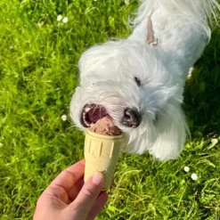 ☀️Sommerklar|Artikler Til Hjemmet^Ollipet FrostSnack Isform | Lav en hundeis
