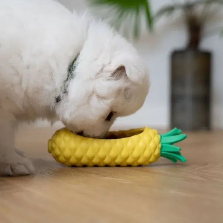Aktivitetslegetøj Til Hunde|Ollipet Hundelegetøj^Ollipet Frostsnack | Pineapple