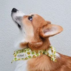 Påskekurven|Hundetøj^Ollipet Frugt Bandana | OUTLET