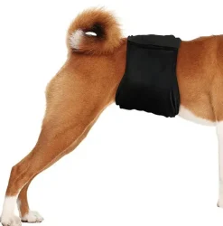 Hundeferien|Hundetøj^Ollipet GentlemanWrap