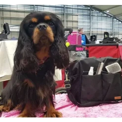 Groomingtasker|Groomingtasker^Ollipet Groomingtaske | Black/Gold