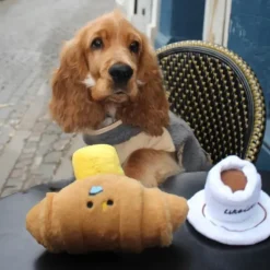 Aktivitetslegetøj Til Hunde|Ollipet Hundelegetøj^Ollipet Hide-a-Treat | Coffee cup