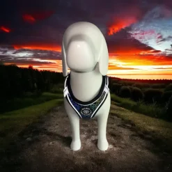 Hundeseler|Ollipet High Tech Refleks^Ollipet High Tech Refleks Step-in Hundesele