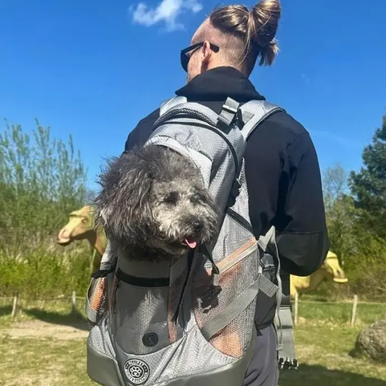 Hundetaske|Rygsæk Til Hunde^Ollipet Hiking Backpack