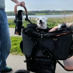 Hundeklapvogn|Klapvogne Og Transport^Ollipet Hundeklapvogn Firenze