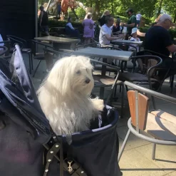 Hundeferien|Hundeklapvogn^Ollipet Hundeklapvogn Venezia