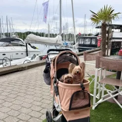 Hundeferien|Hundeklapvogn^Ollipet Hundeklapvogn Venezia