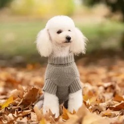 ❄️Klar Til Vintervejret|Hundetøj^Ollipet Hundesweater | I Am Pawsome